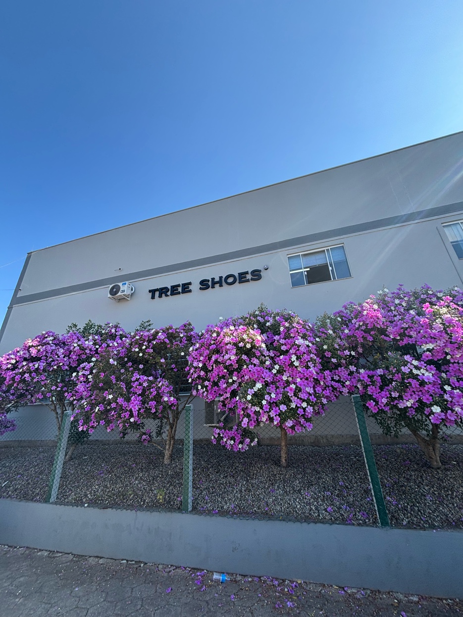 Stand Tree Shoes em feira